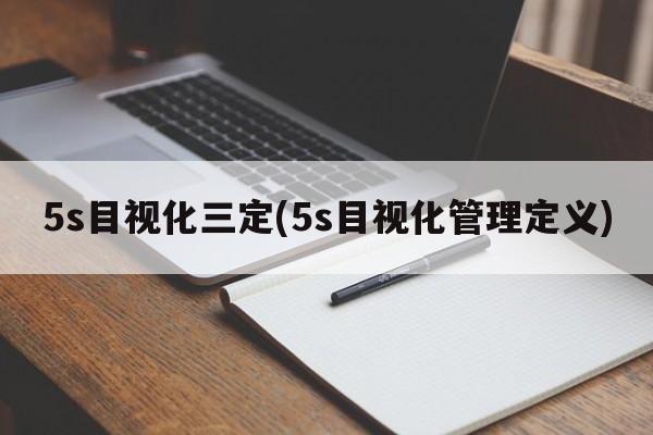 5s目视化三定(5s目视化管理定义)